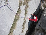 IMG_3980