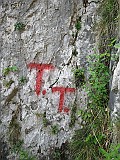 IMG_0656