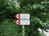 IMG_0697