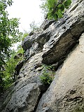 20190823090840_IMG_0622(1)