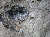 IMG_0980