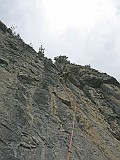 IMG_0994