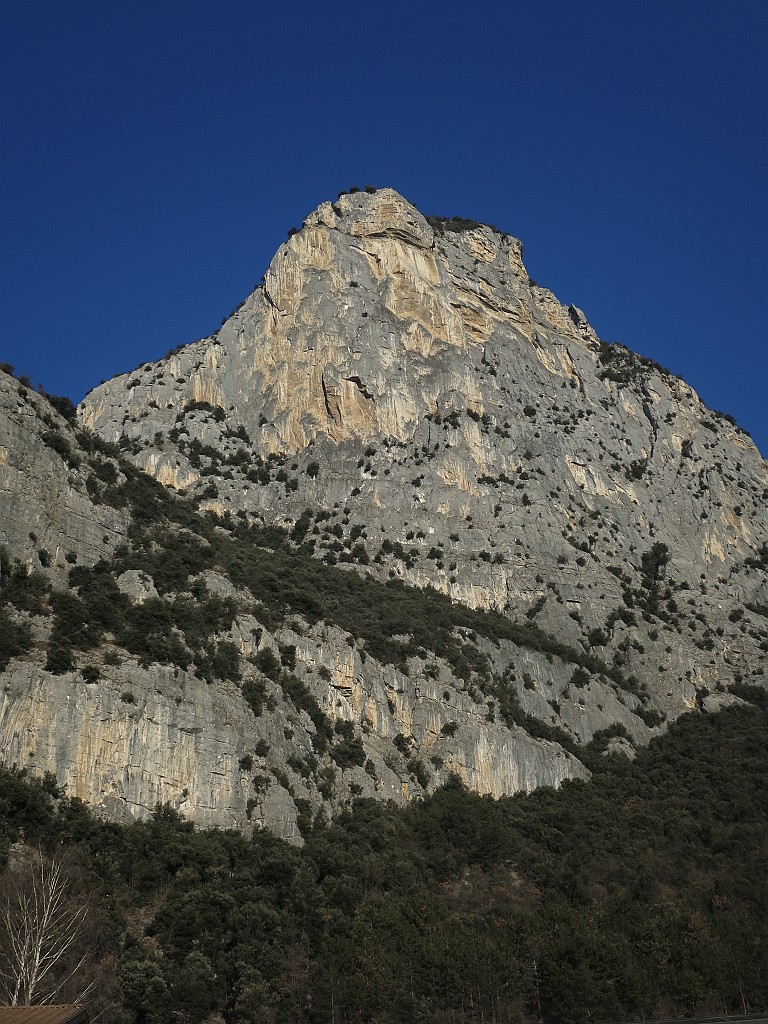 IMG_6602.JPG - La bella parete del Dain al mattino. La nostra via è più a sinistra, sulla parete del Limarò 