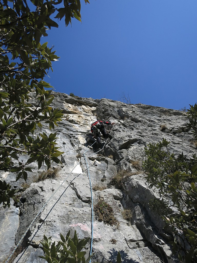 IMG_6634.JPG