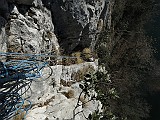 IMG_6603