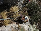 IMG_6604