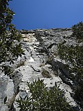 IMG_6615