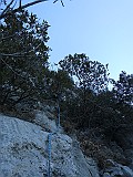 IMG_6690
