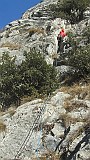 IMG_7993
