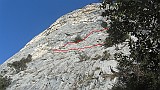 IMG_8005