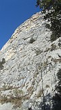 IMG_8006