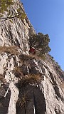IMG_8012