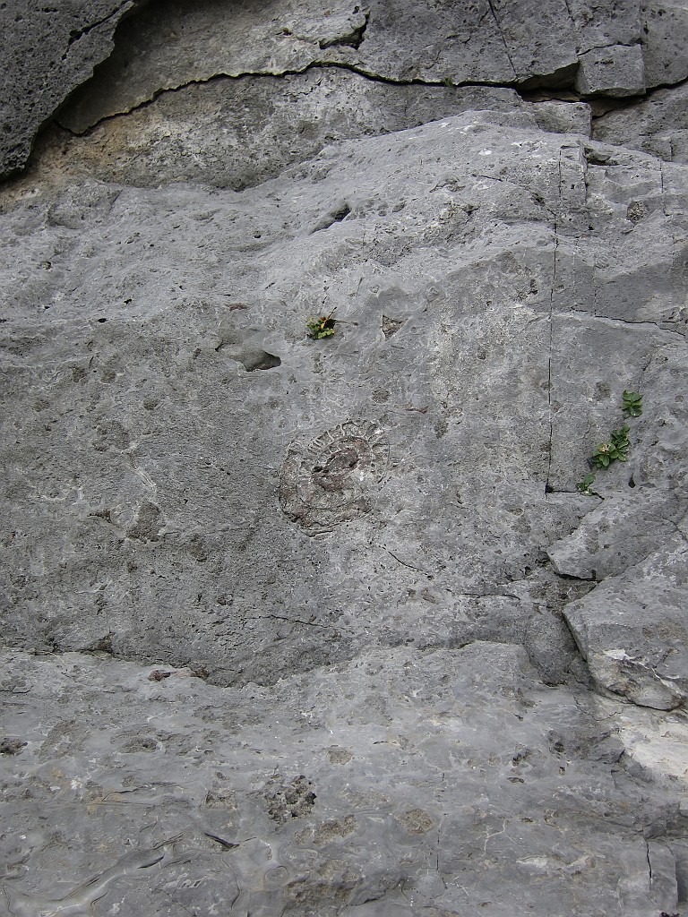 IMG_9198.JPG - Un cartello spiega cos'è. La zona è ricca di fossili