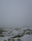 IMG_9173