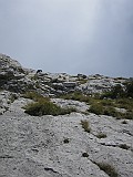 IMG_9187