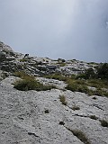 IMG_9188