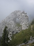 IMG_9195