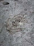 IMG_9196