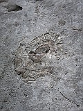 IMG_9197