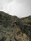 IMG_9937