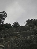 IMG_9944