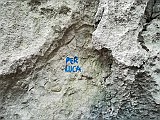 IMG_20190119_095714