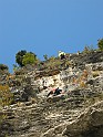 IMG_9248