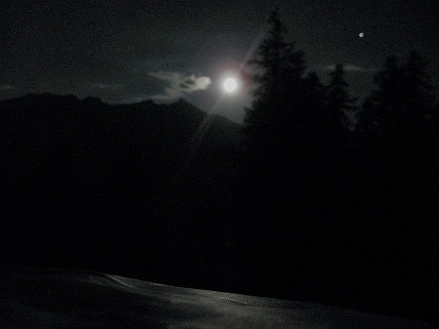 IMG_0905.JPG - Godiamoci la notte serena e con una luna che sembra giorno