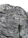 IMG_9013